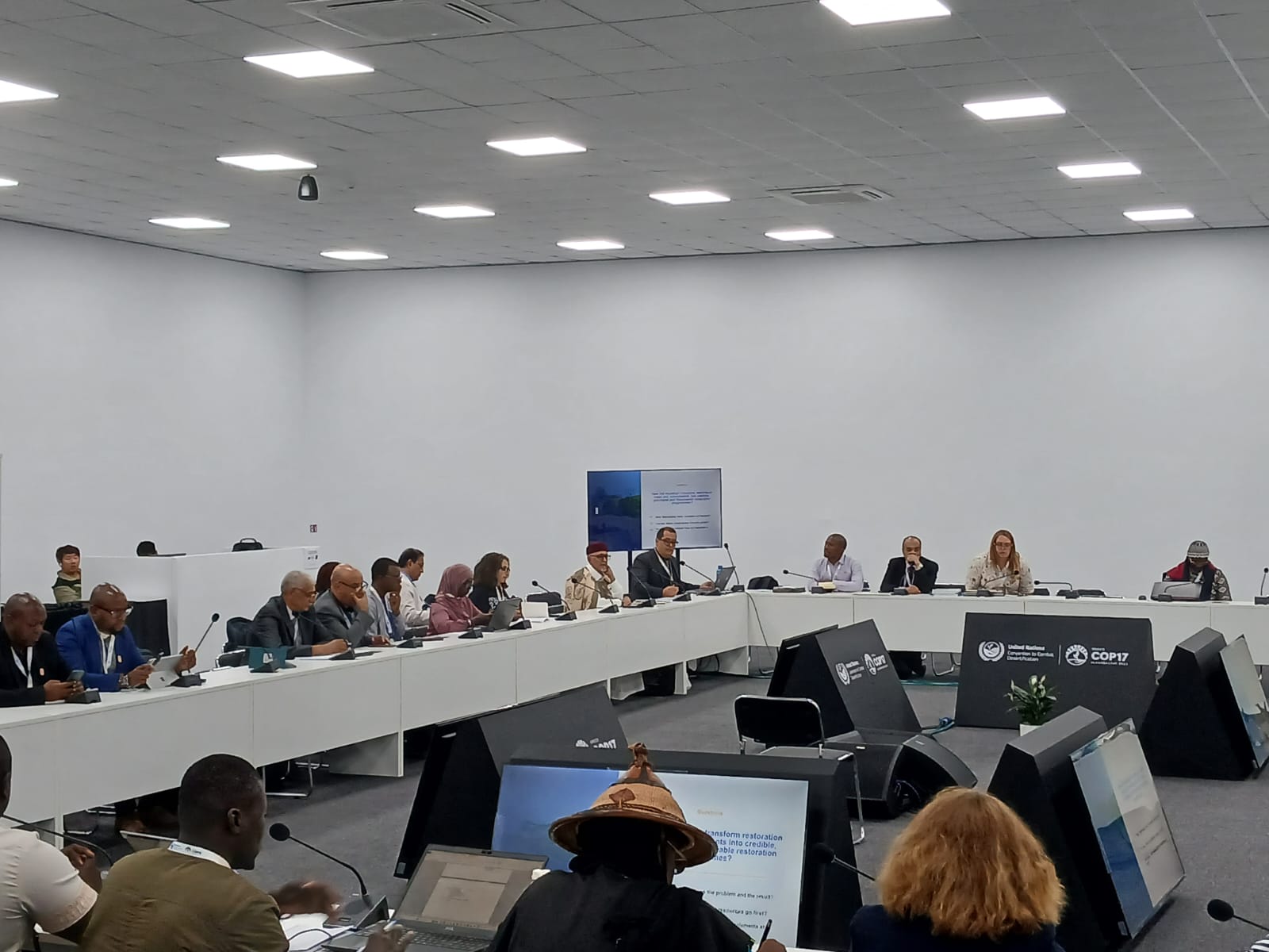 OSS at UNCCD COP 17 in Ulaanbaatar