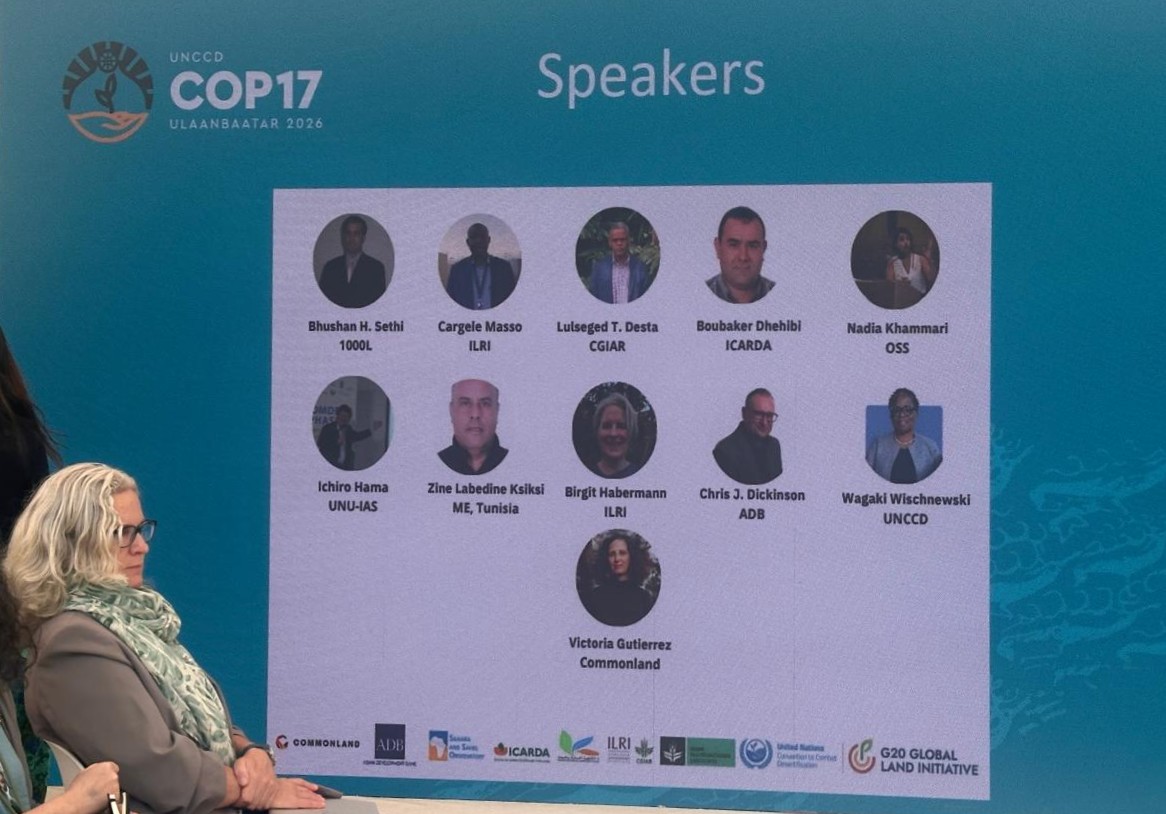 OSS at UNCCD COP 17 in Ulaanbaatar