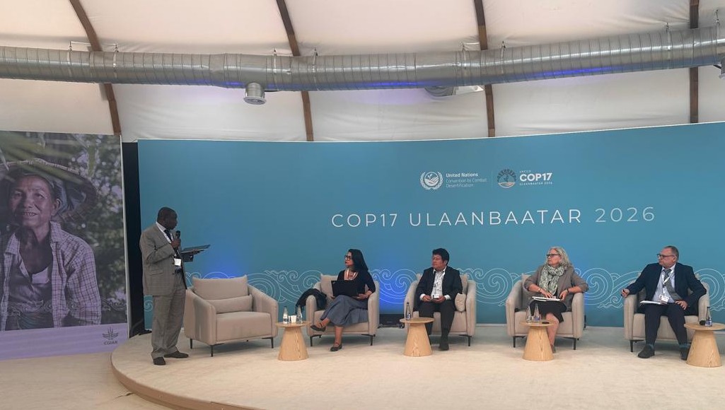 OSS at UNCCD COP 17 in Ulaanbaatar