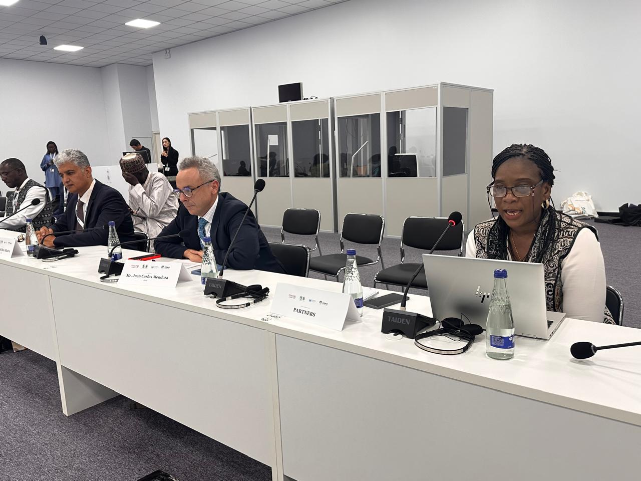 OSS at UNCCD COP 17 in Ulaanbaatar