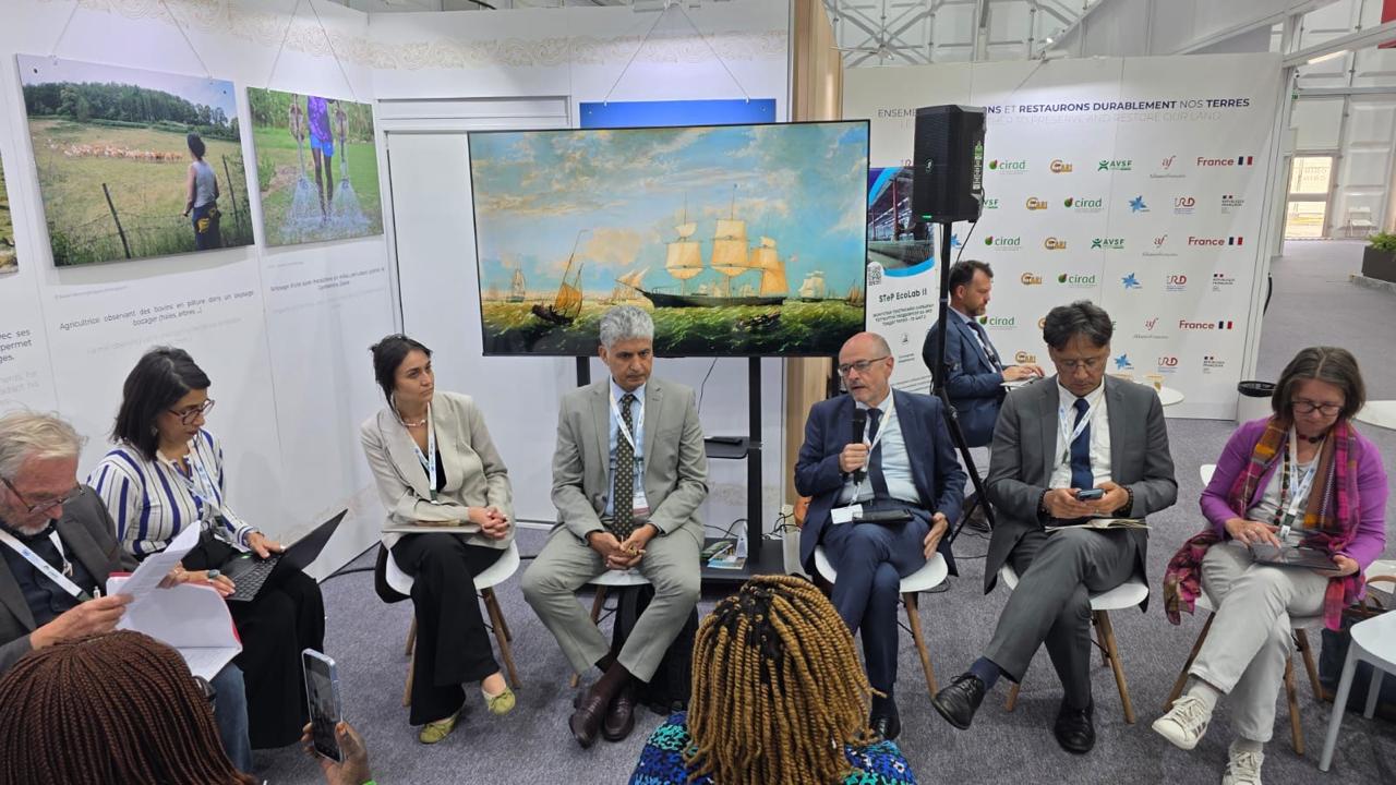 OSS at UNCCD COP 17 in Ulaanbaatar