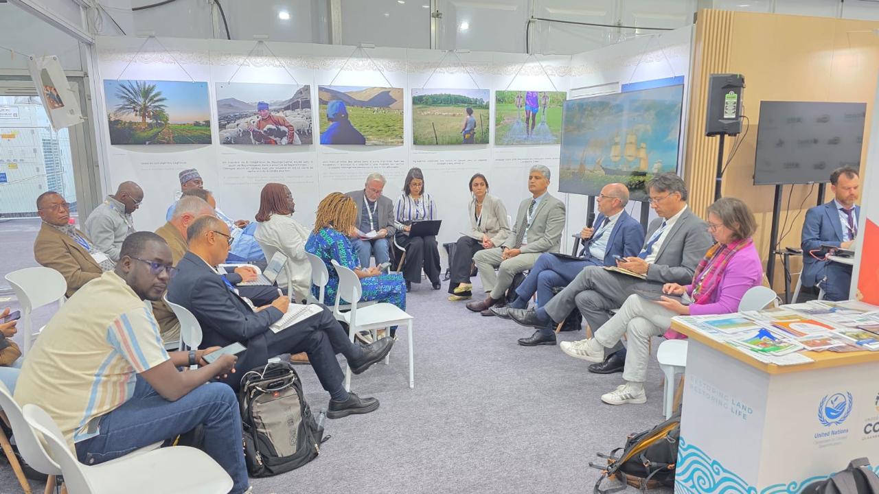 OSS at UNCCD COP 17 in Ulaanbaatar