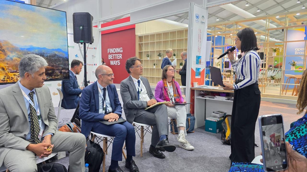 OSS at UNCCD COP 17 in Ulaanbaatar