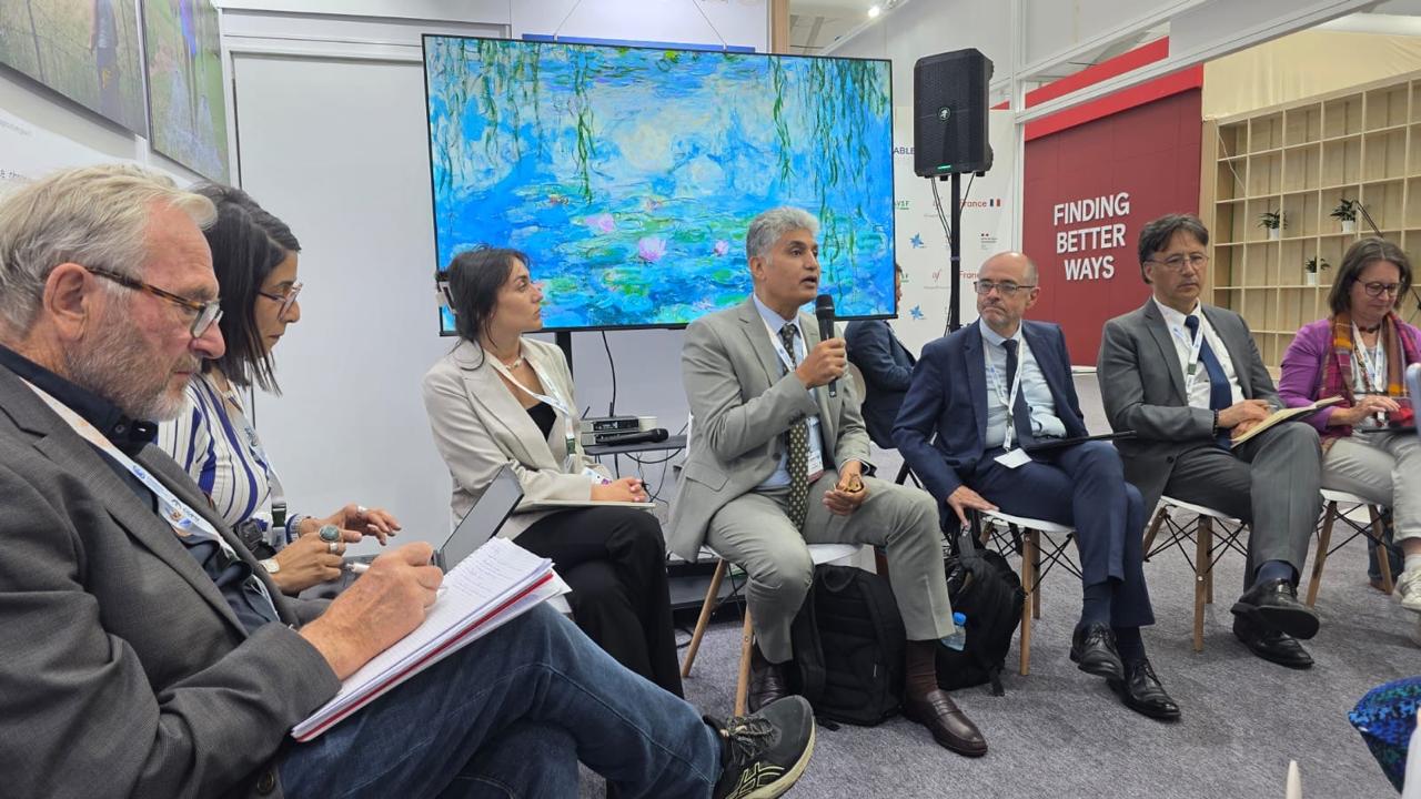 CARI side event, 25 August 2026